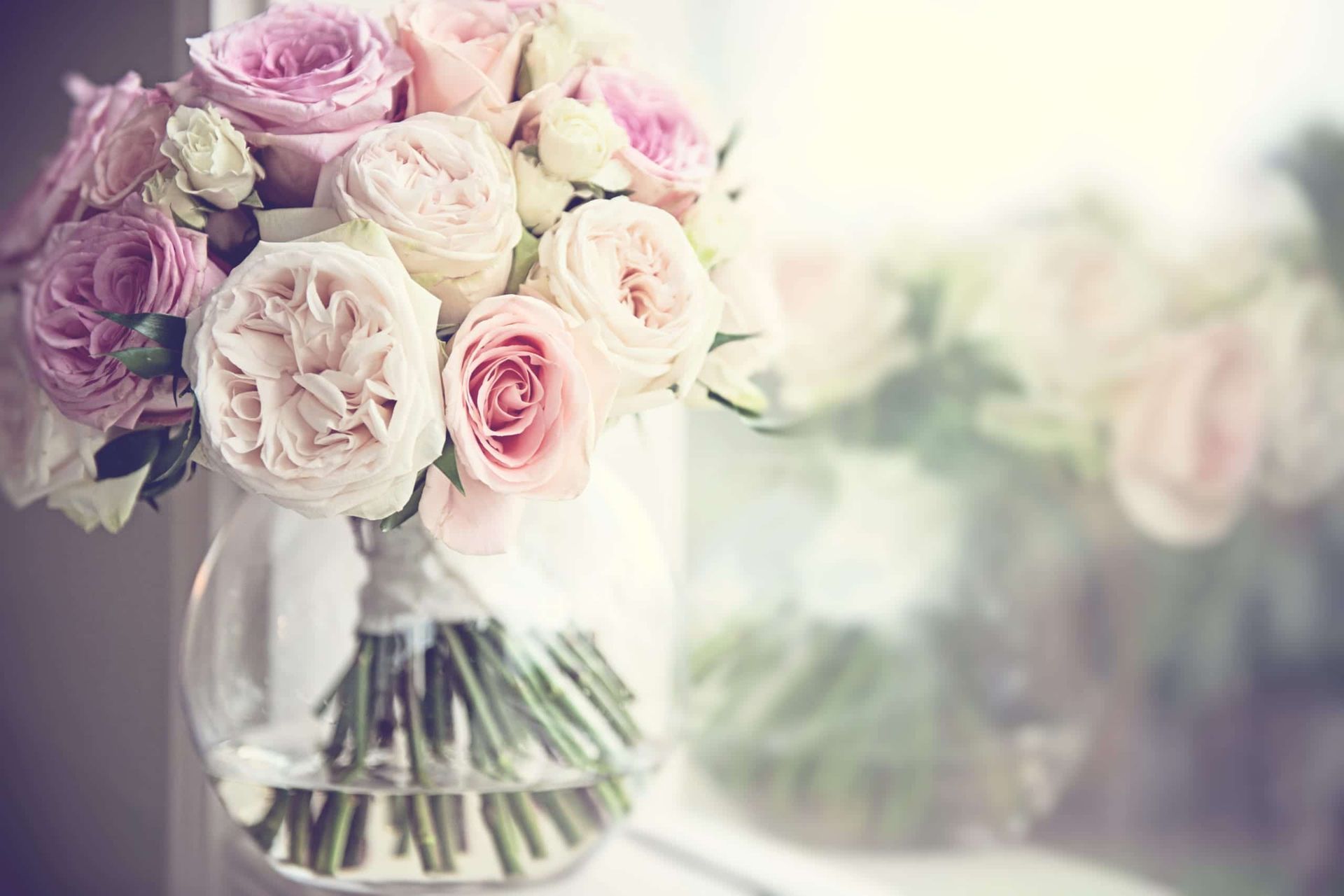 Bouquet of pink and white roses in a clear glass vase by a window, with soft lighting.