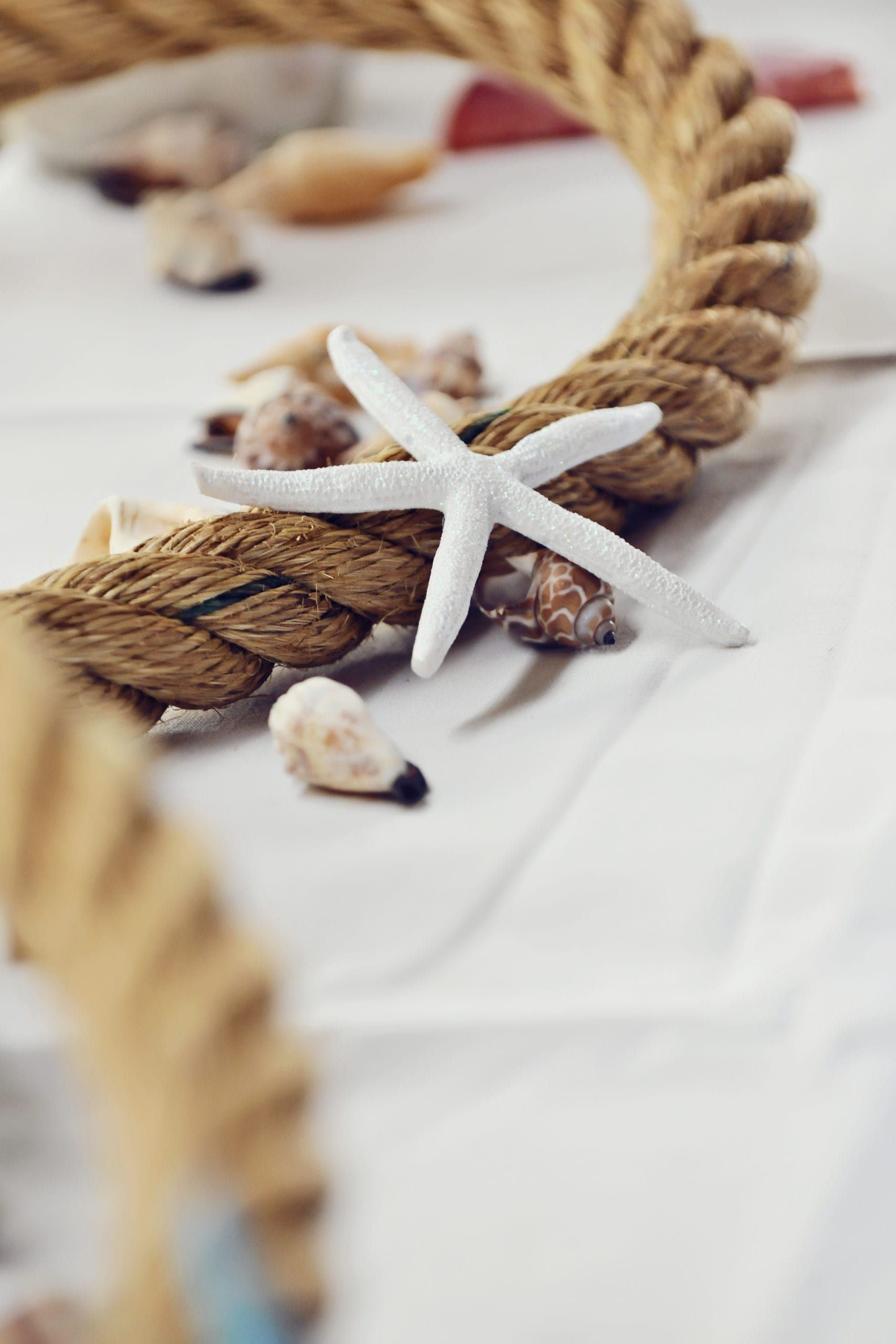 White starfish atop a thick, brown rope, surrounded by seashells on a white surface.