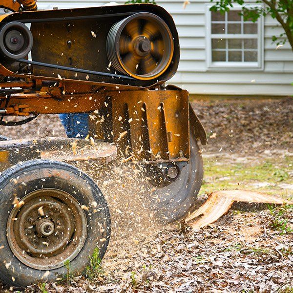 Stump Grinding — Middleburg, FL — Absolute Tree and Stump Inc