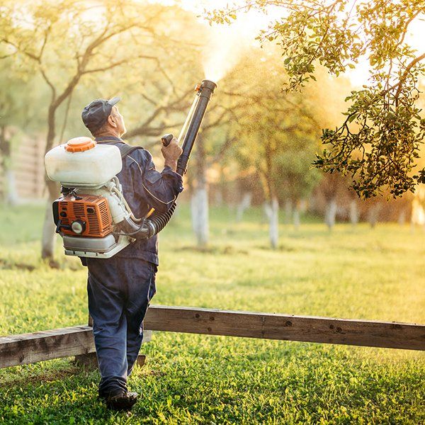 Worker Using Sprayer for Organic Pesticide — Middleburg, FL — Absolute Tree and Stump Inc