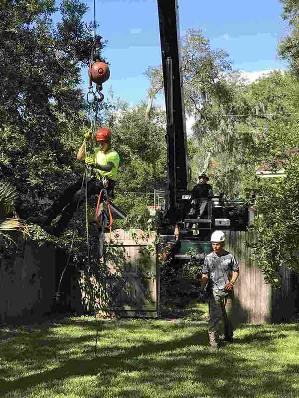 Men at Work — Middleburg, FL — Absolute Tree and Stump Inc
