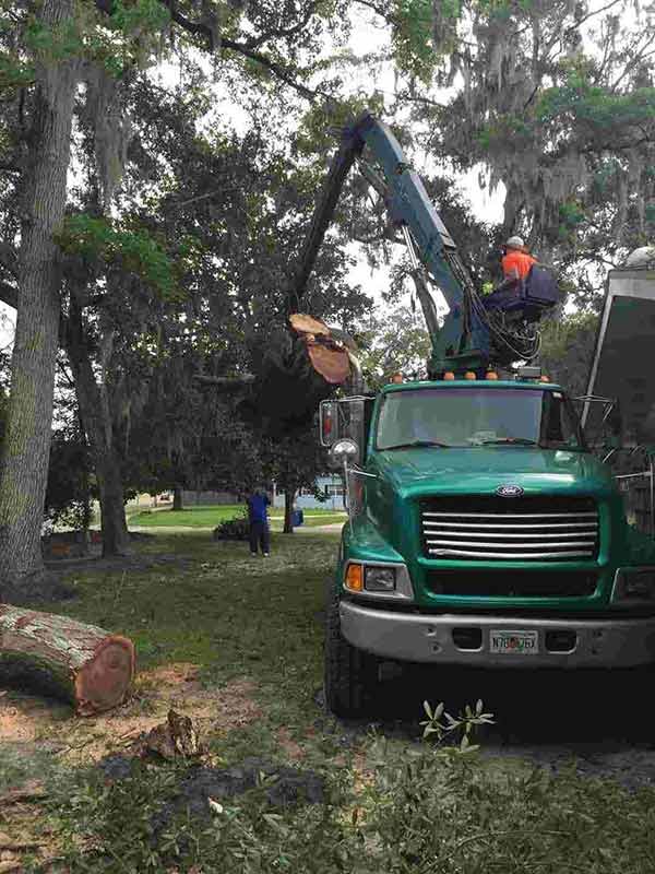 Green Truck — Middleburg, FL — Absolute Tree and Stump Inc