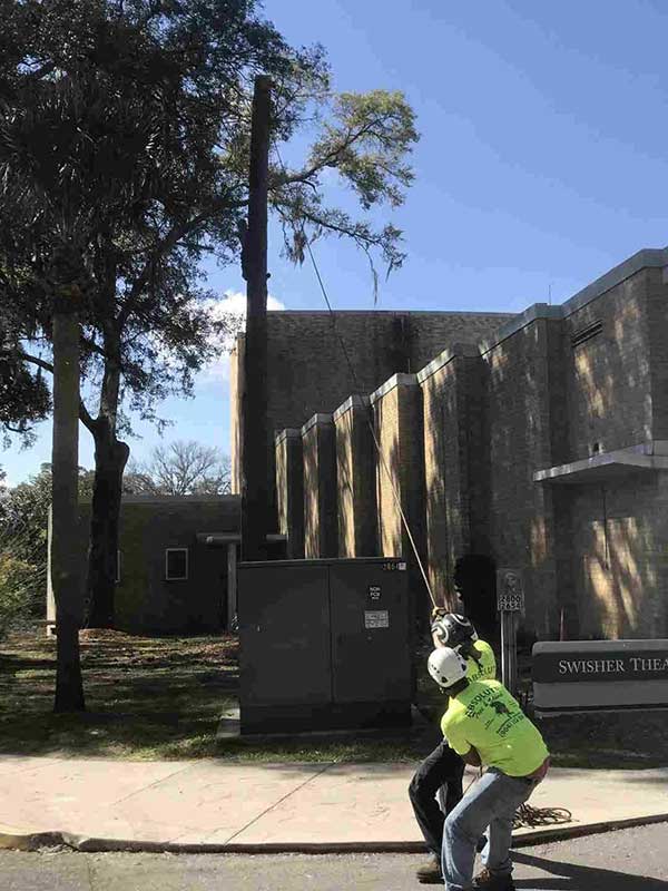 Men at Work Tree Removal — Middleburg, FL — Absolute Tree and Stump Inc