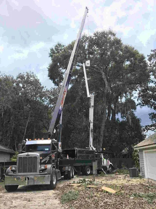 Truck with Crane — Middleburg, FL — Absolute Tree and Stump Inc