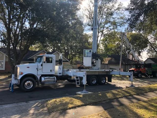 White Crane Bringing Up the Arborist — Middleburg, FL — Absolute Tree and Stump Inc