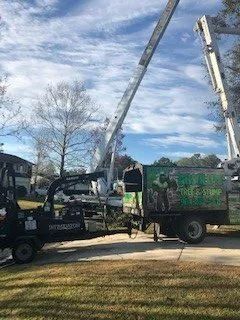 White Cranes — Middleburg, FL — Absolute Tree and Stump Inc