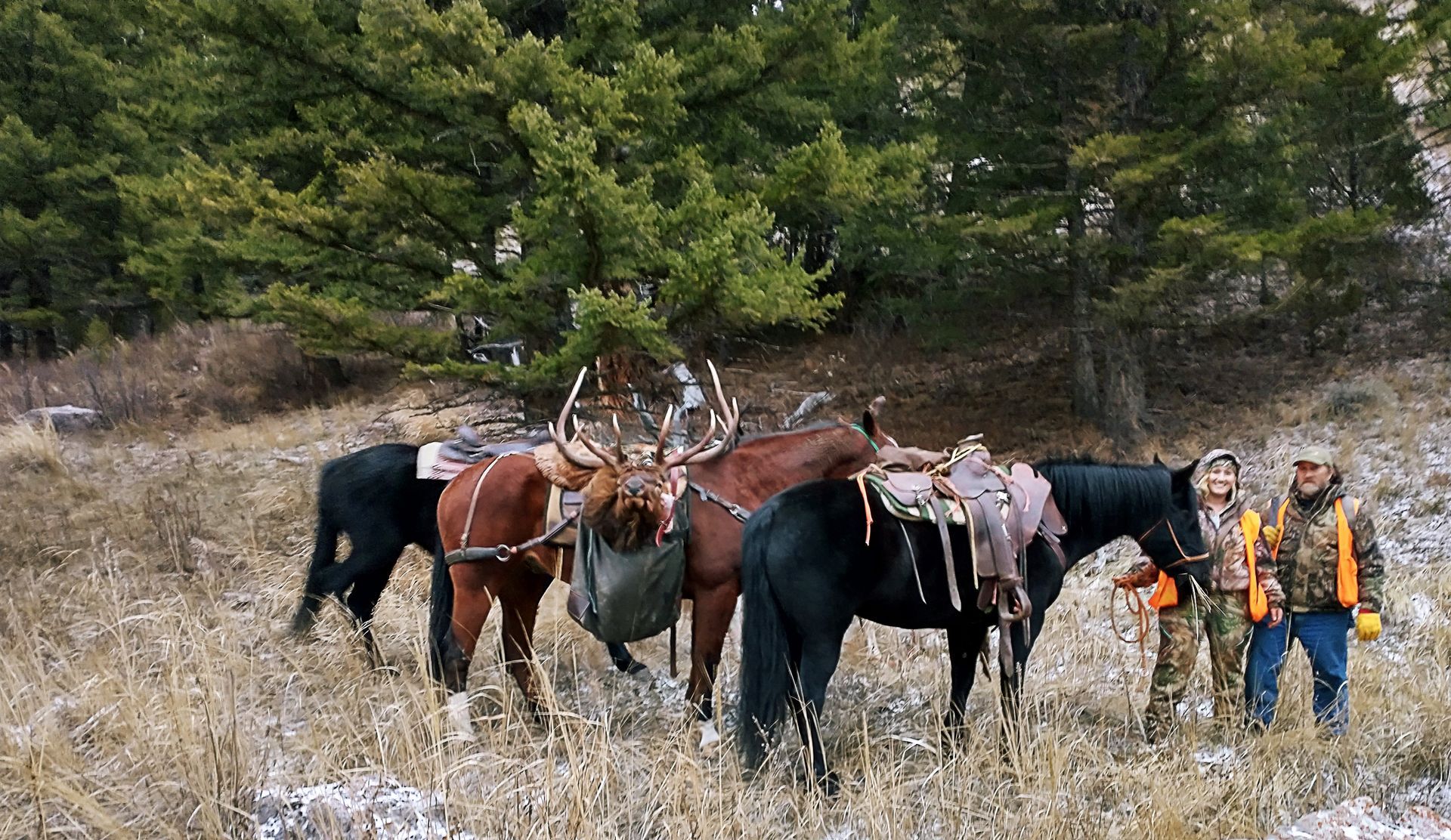 A group of people standing next to horses in a field.