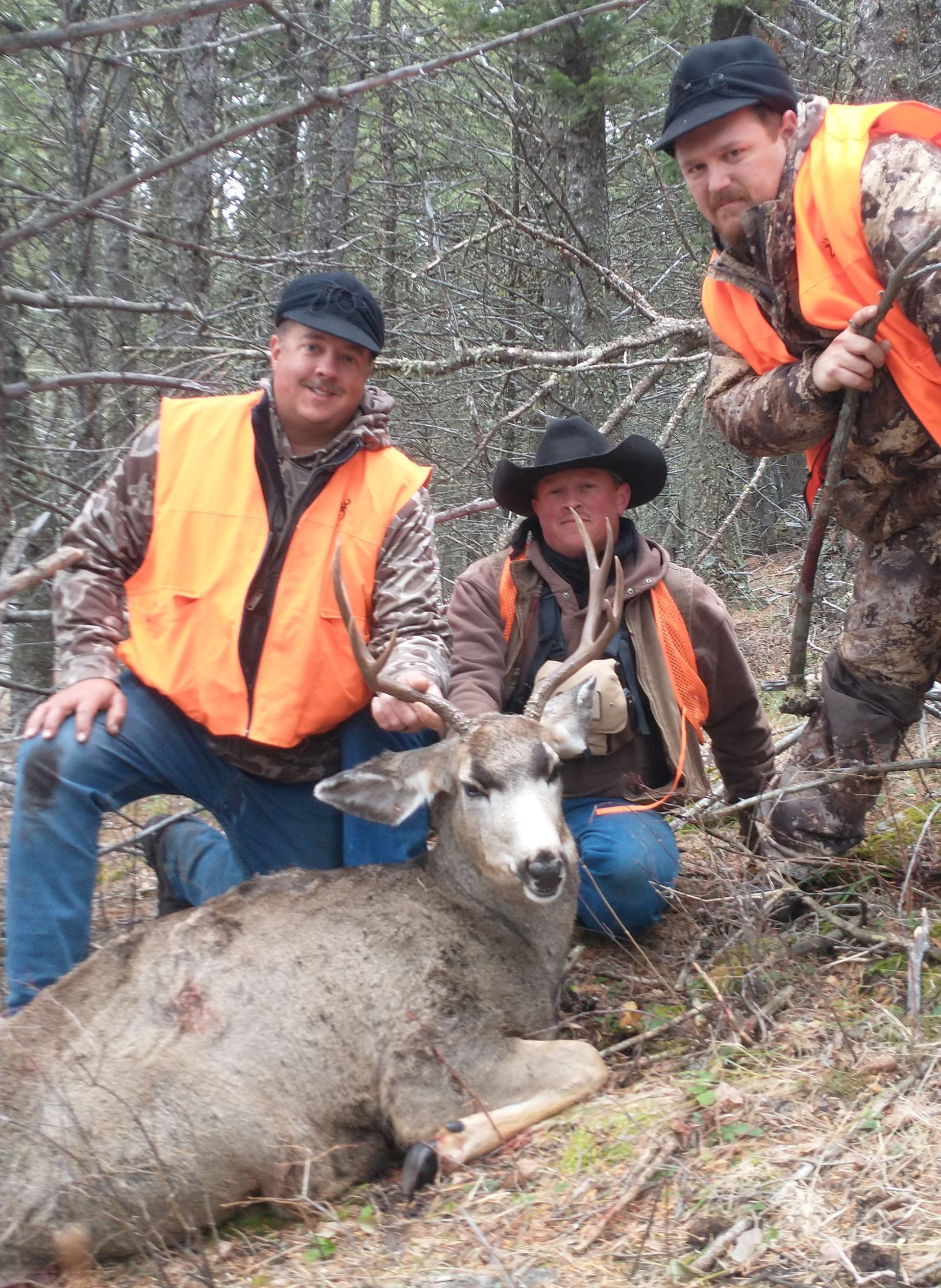 Men holding a big deer.