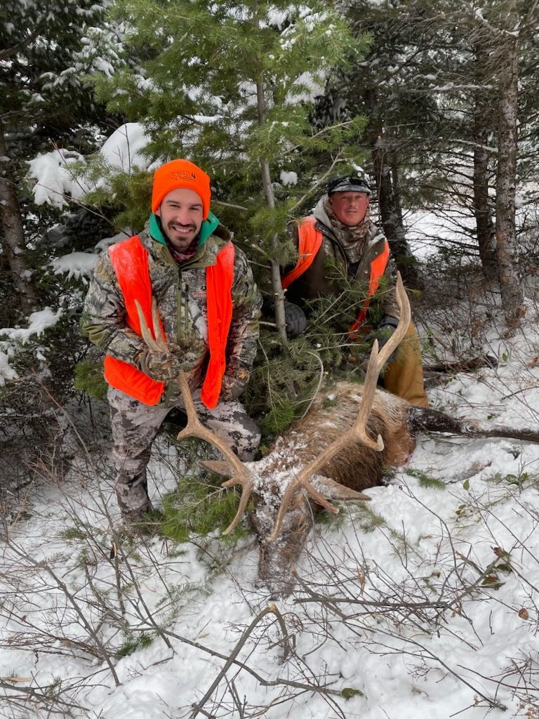 Men holding a big elk.