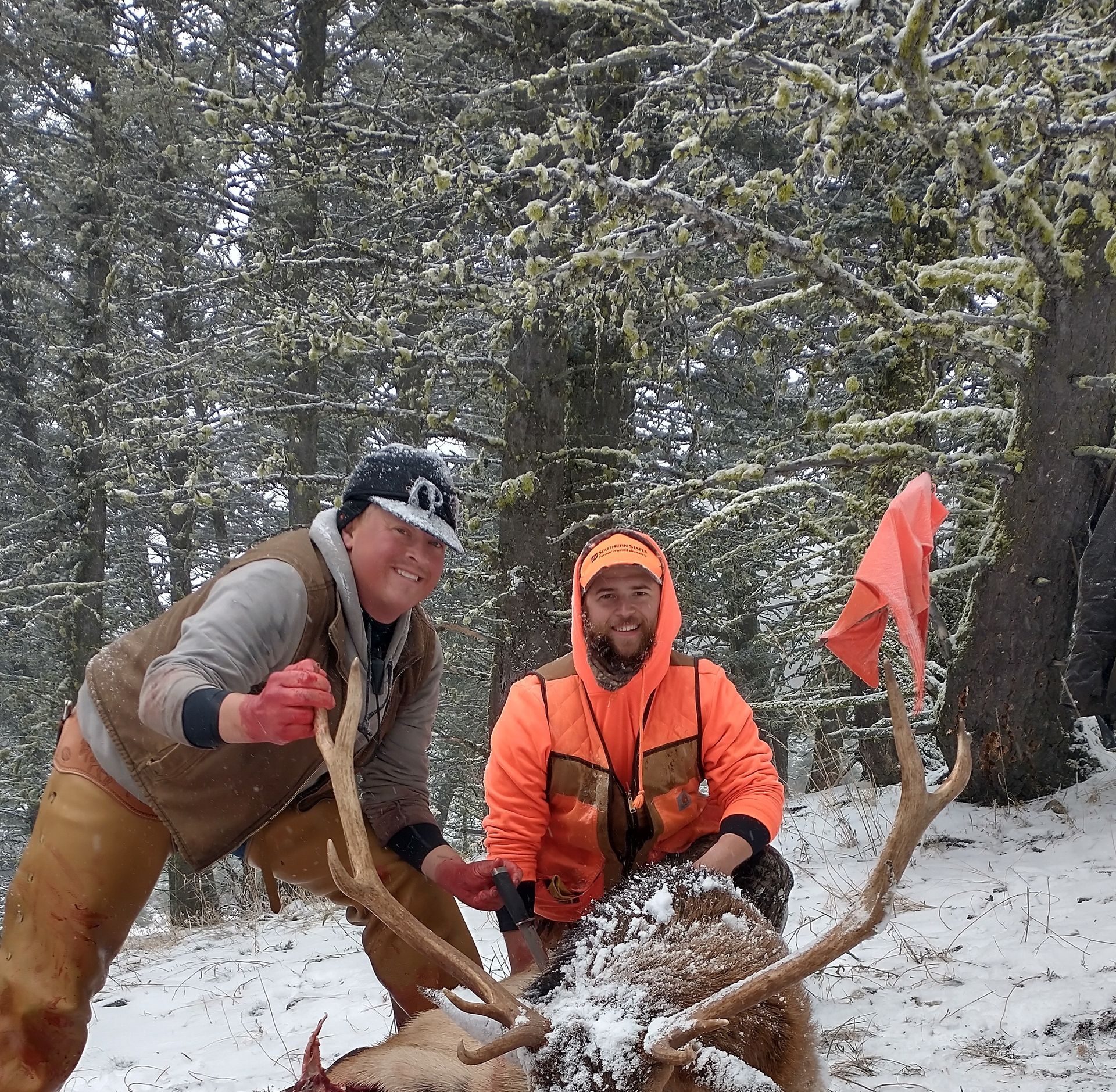 Men holding a big elk.