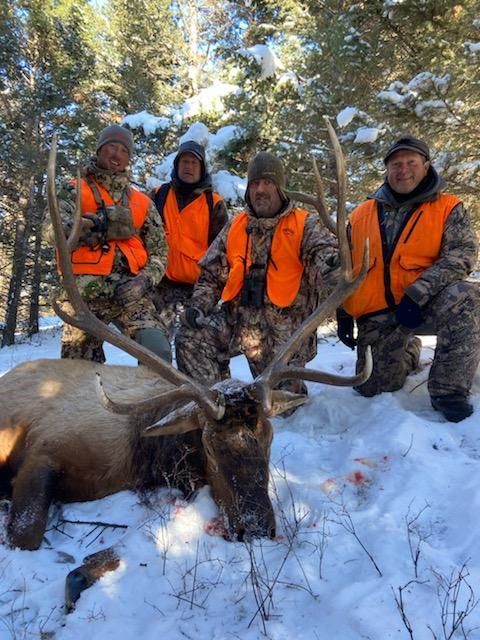 Men holding a big elk.