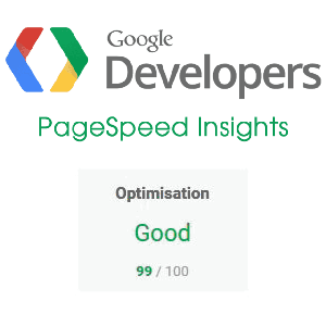 Google PageSpeed Insight - score du site visibleo.co