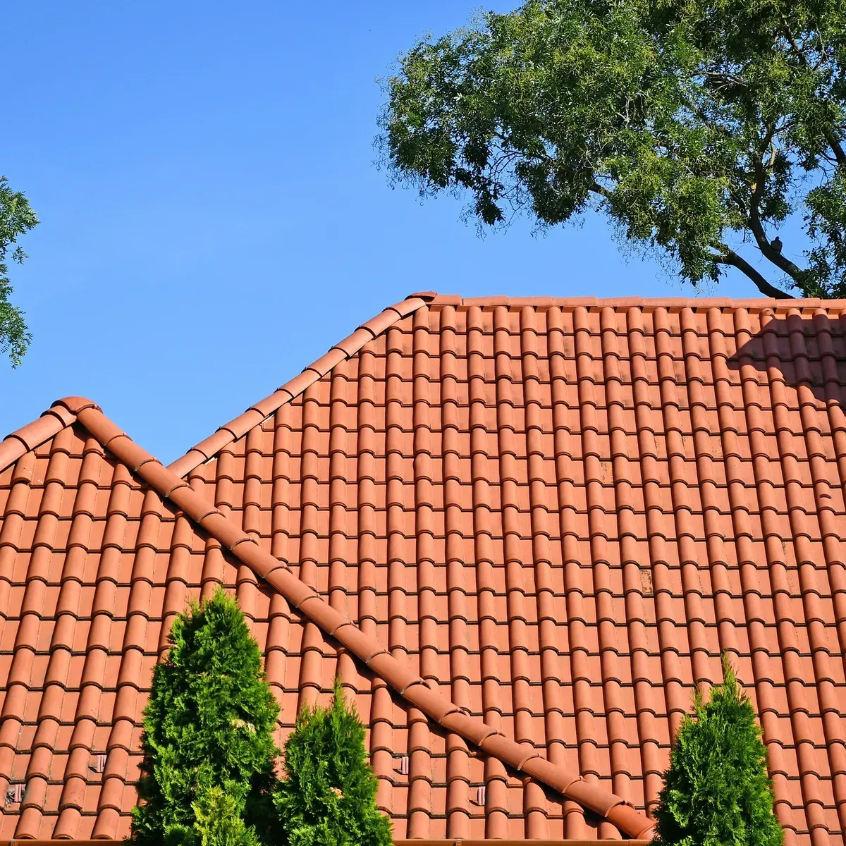 Terracotta-tiled rooftops with green trees against a clear blue sky