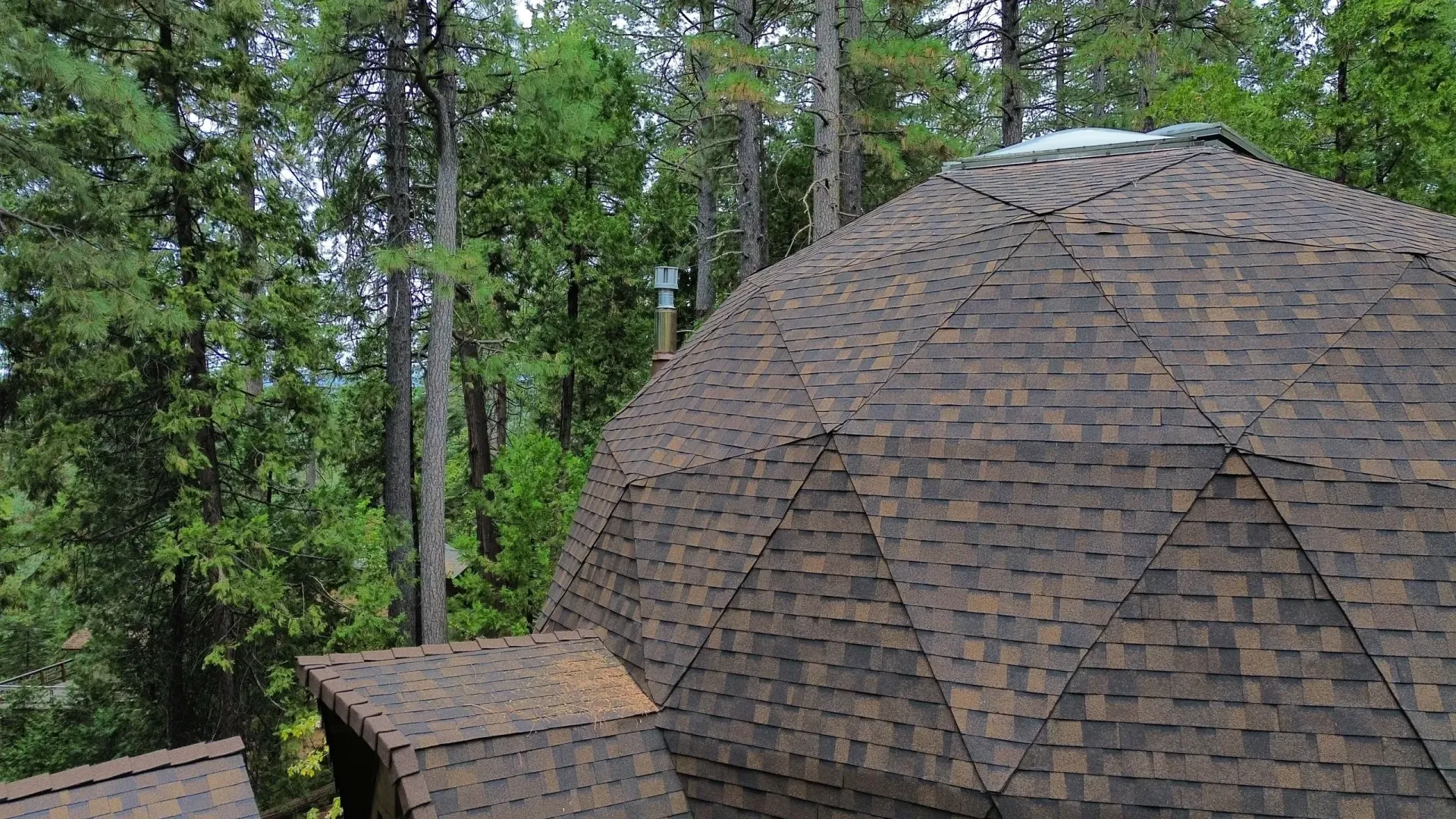 Domed wooden-roof structure in a wooded area, with green trees in the background