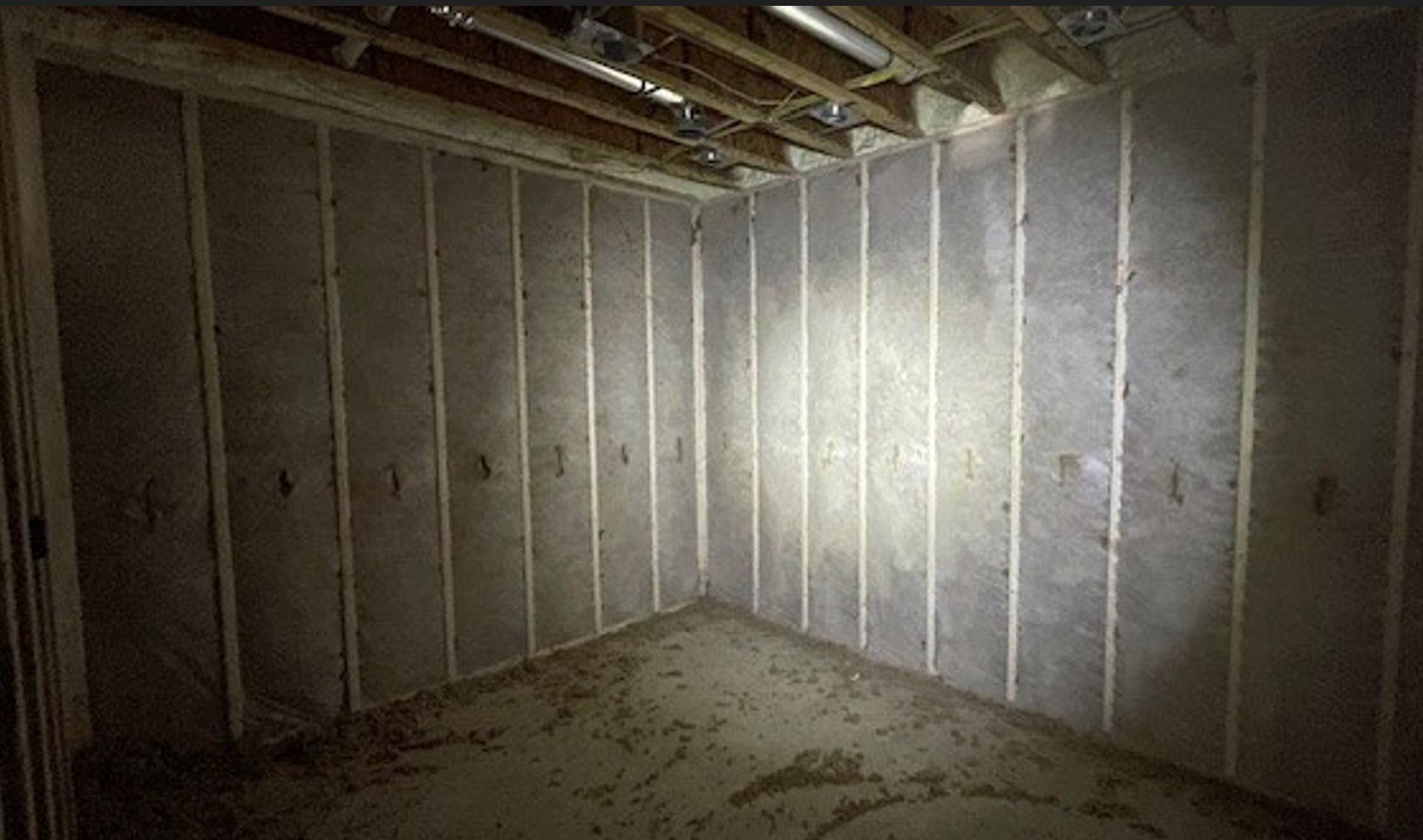 Empty, unfinished basement room. Bare studs, insulation, and concrete floor.