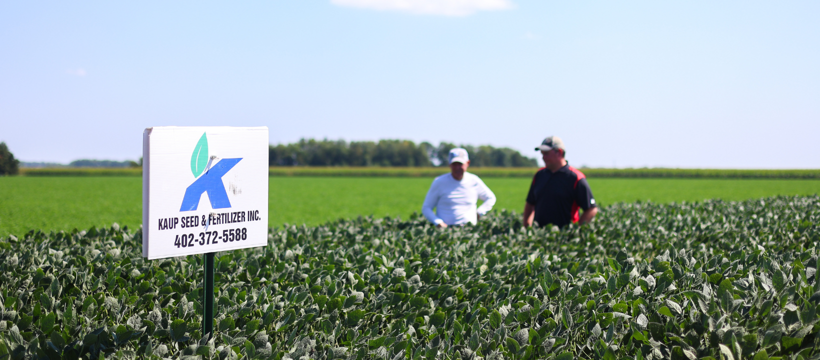 Dark green tank with blue logo against a bright blue sky with clouds.