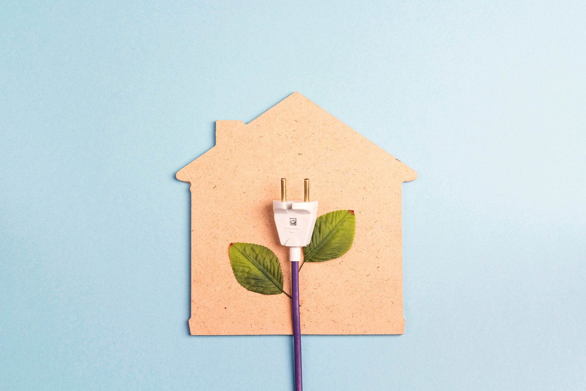 cardboard house with an electric plug and leaves