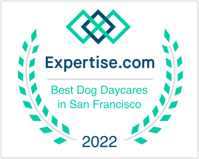expertise.com best dog daycare 2022