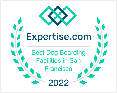 expertise.com best dog boarding 2022