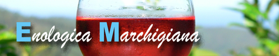 Enologica Marchigiana logo