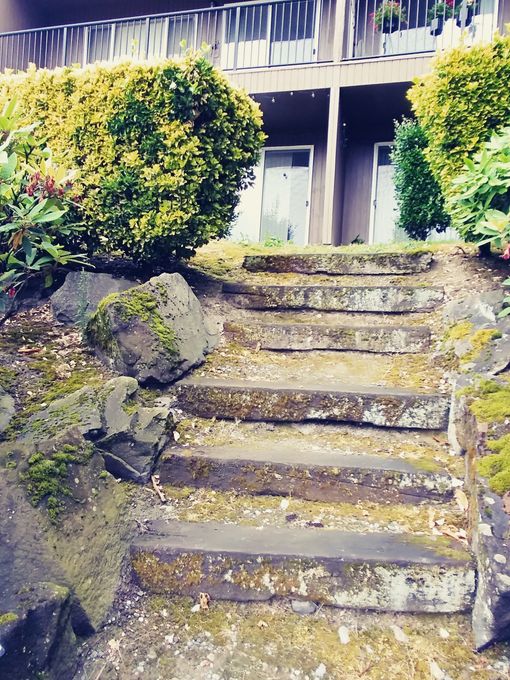 Before Stone Steps