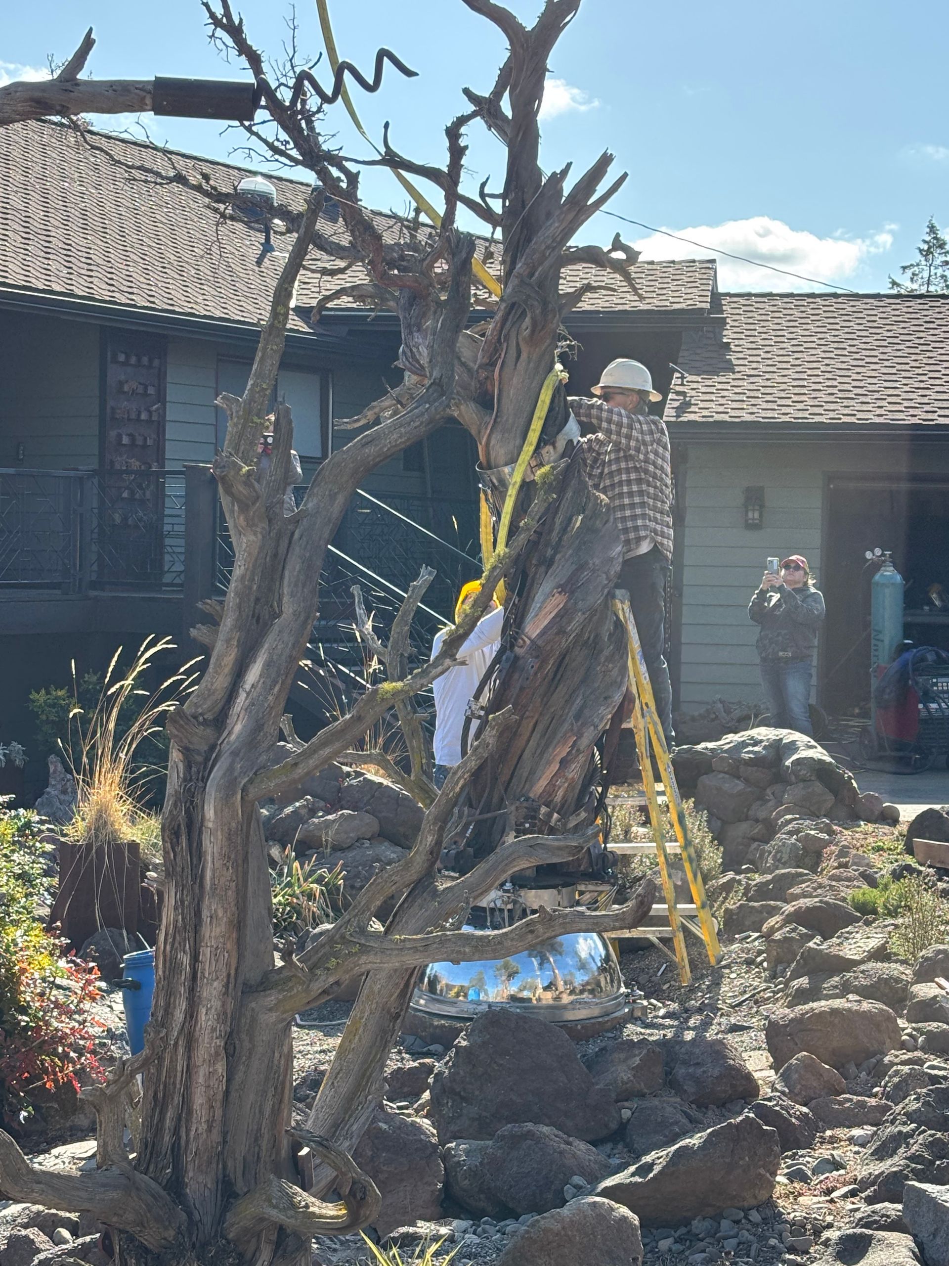 A man standing on a ladder next to a tree in front of a house