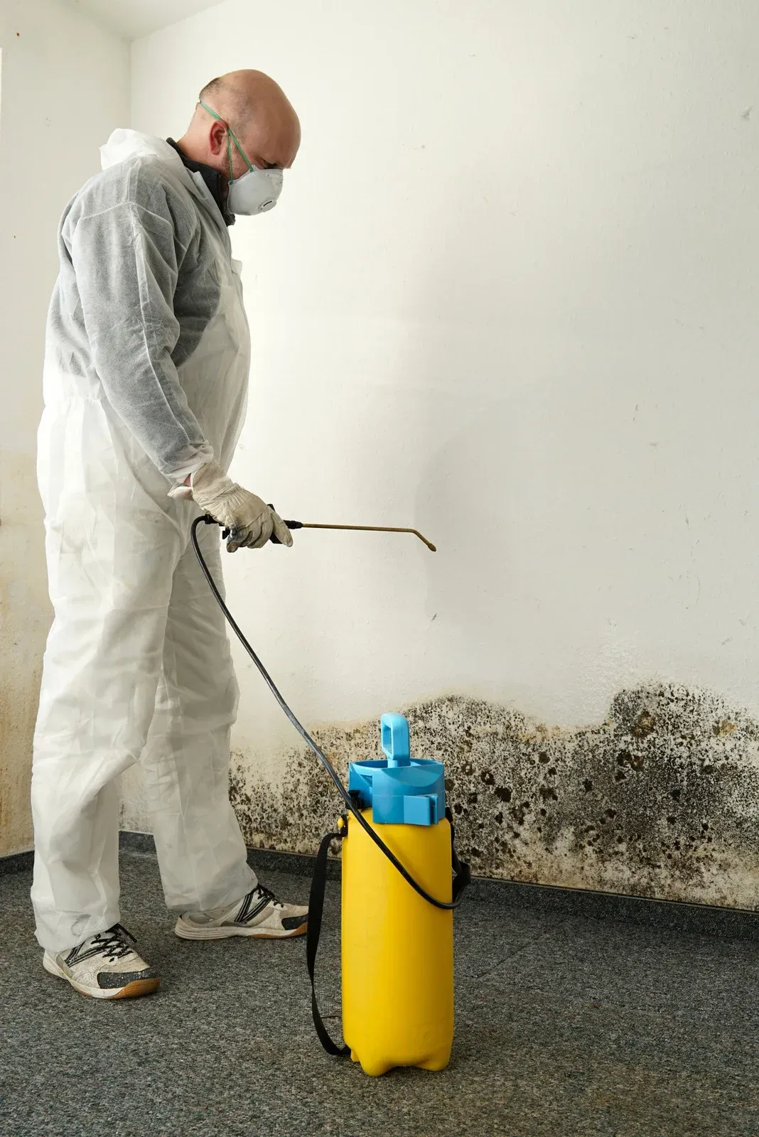 Man in protective gear spraying a wall with mold.
