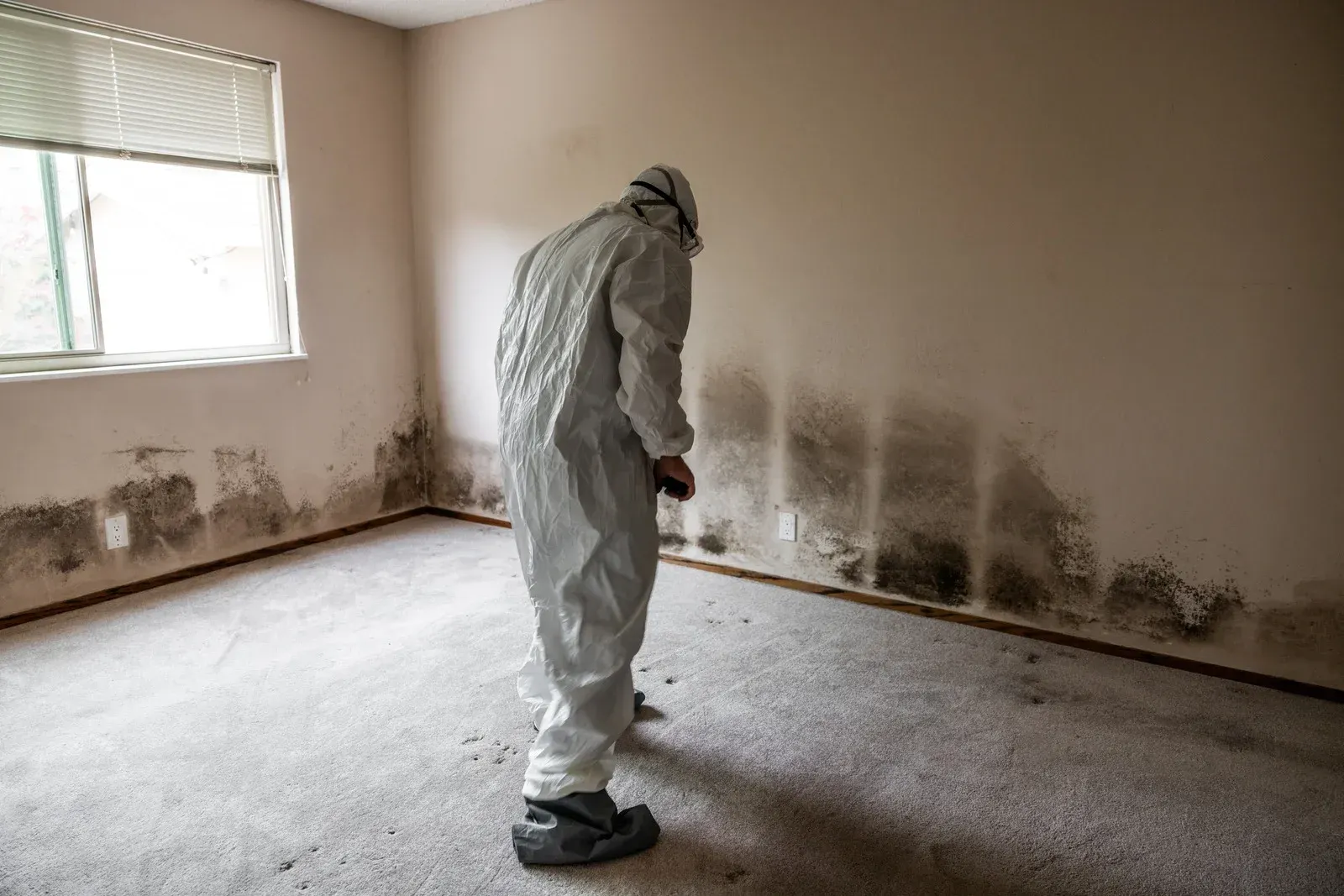Person in protective suit inspects mold-covered wall in a room, near a window with blinds.