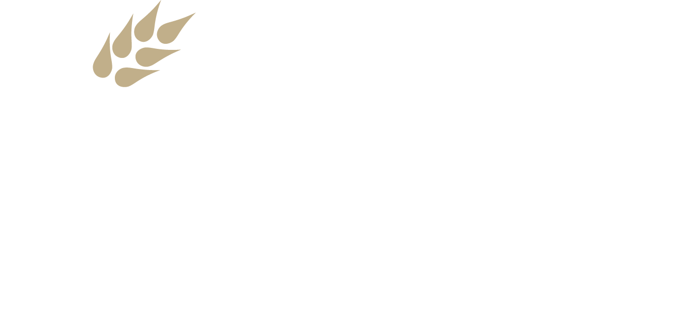 Kansas Insurance Logo 