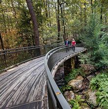 Two people are walking across a wooden bridge in the woods.