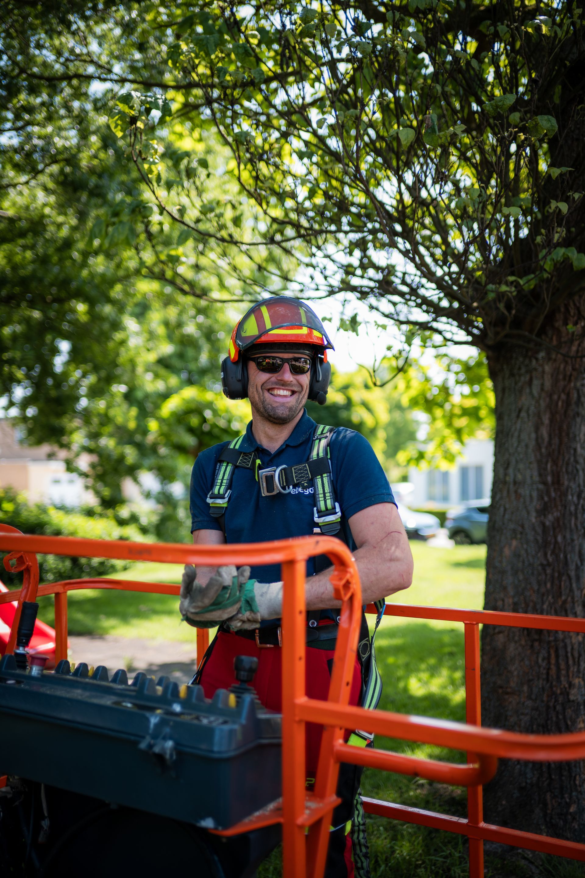 Boomverzorger Bart portret