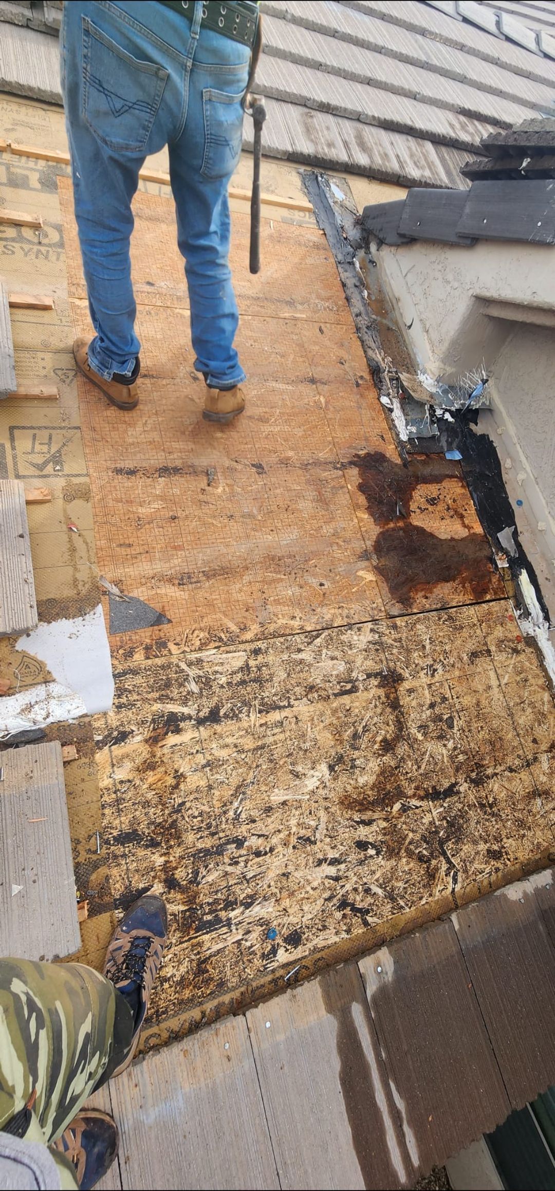 Person on a damaged rooftop; exposed wood, brown stains, and missing shingles.