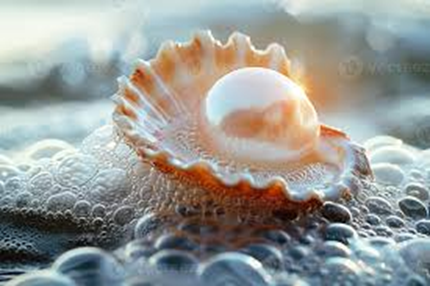 image of a pearl in a shell, surrounded by ocean foam.