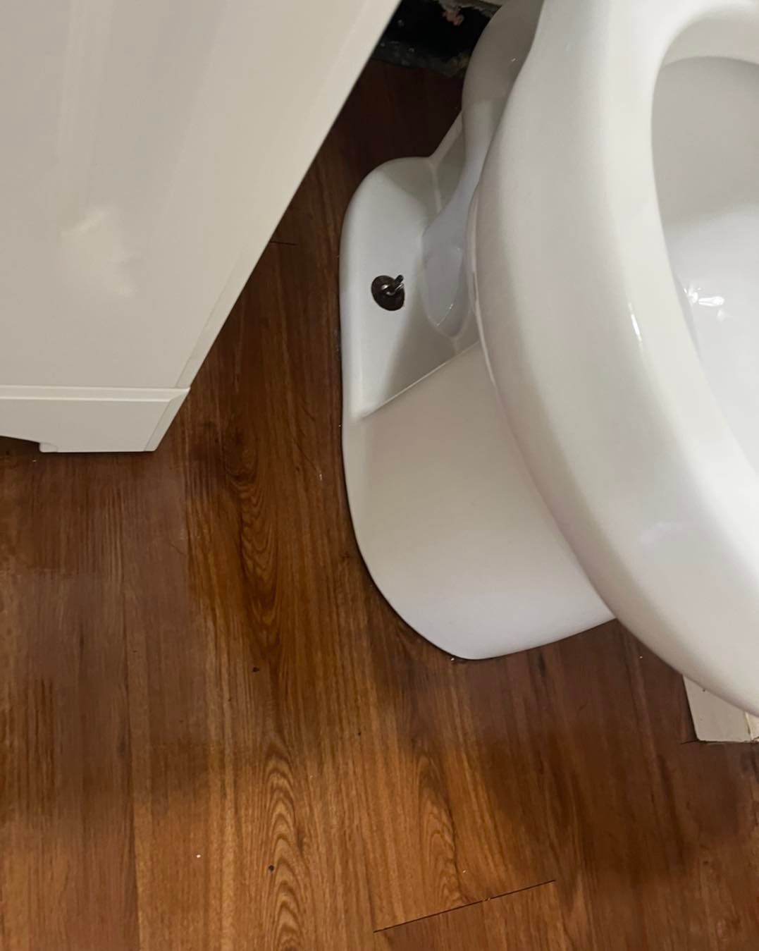 Toilet base next to a white cabinet, with a wood-look floor.