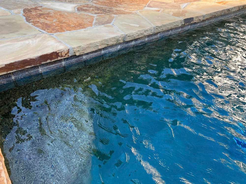 Pool edge with rippling blue water, stone coping, and sunlit surface.