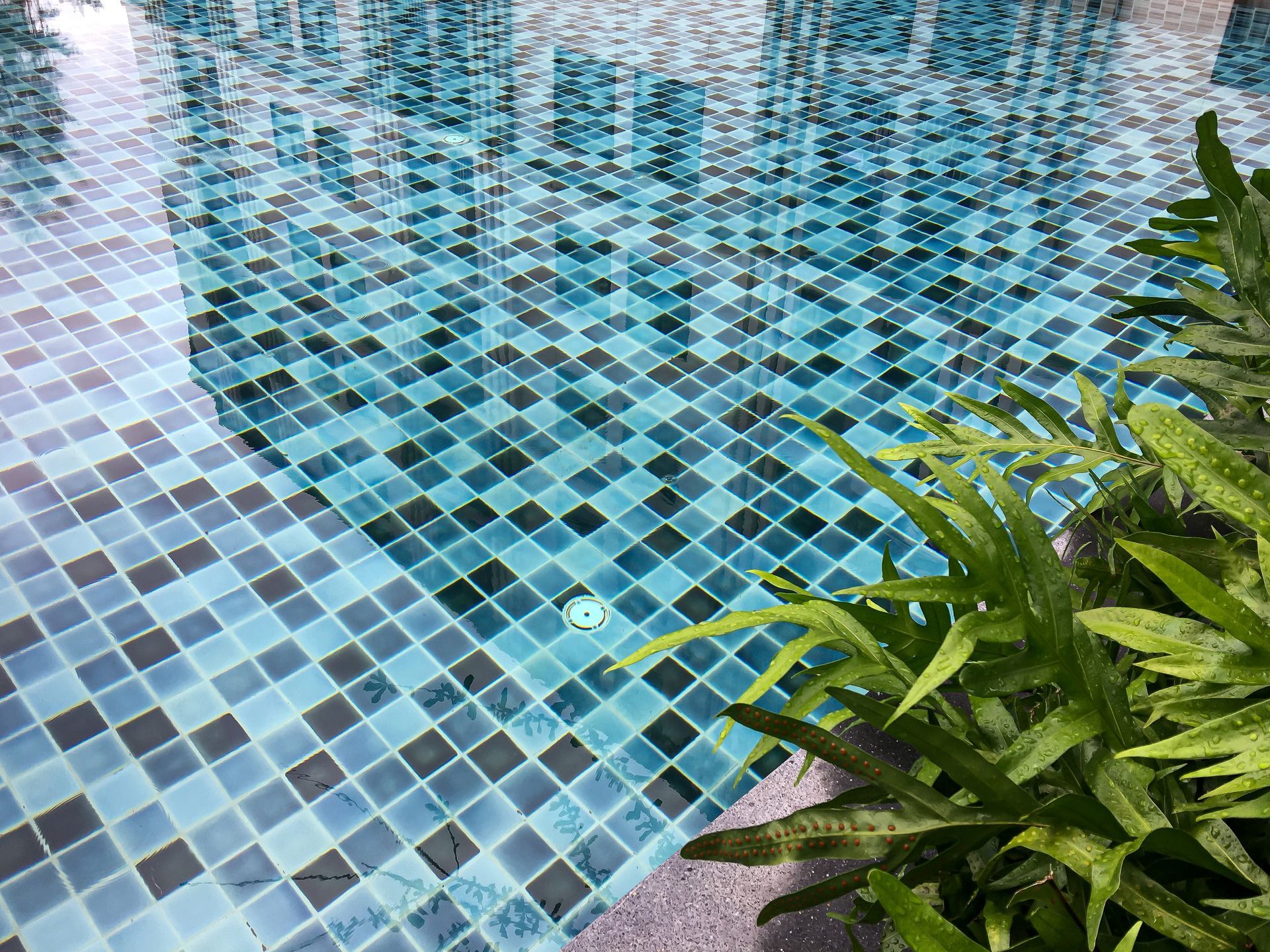 Blue tiled swimming pool with reflecting water and green plants.