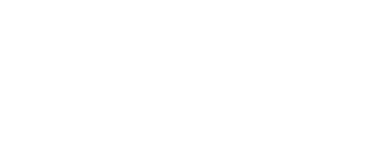 The District at Manhattan Logo