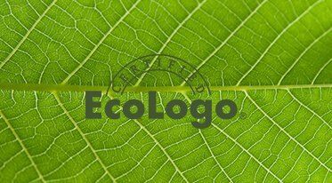 commercial cleaning company ecologo