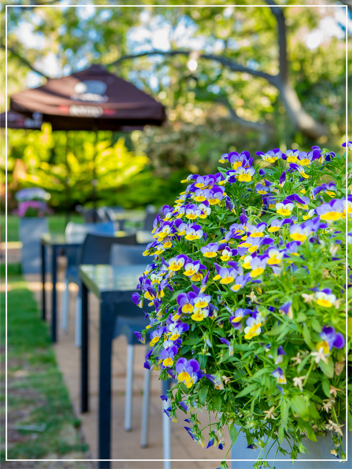 Kingfishers Cafe Menus