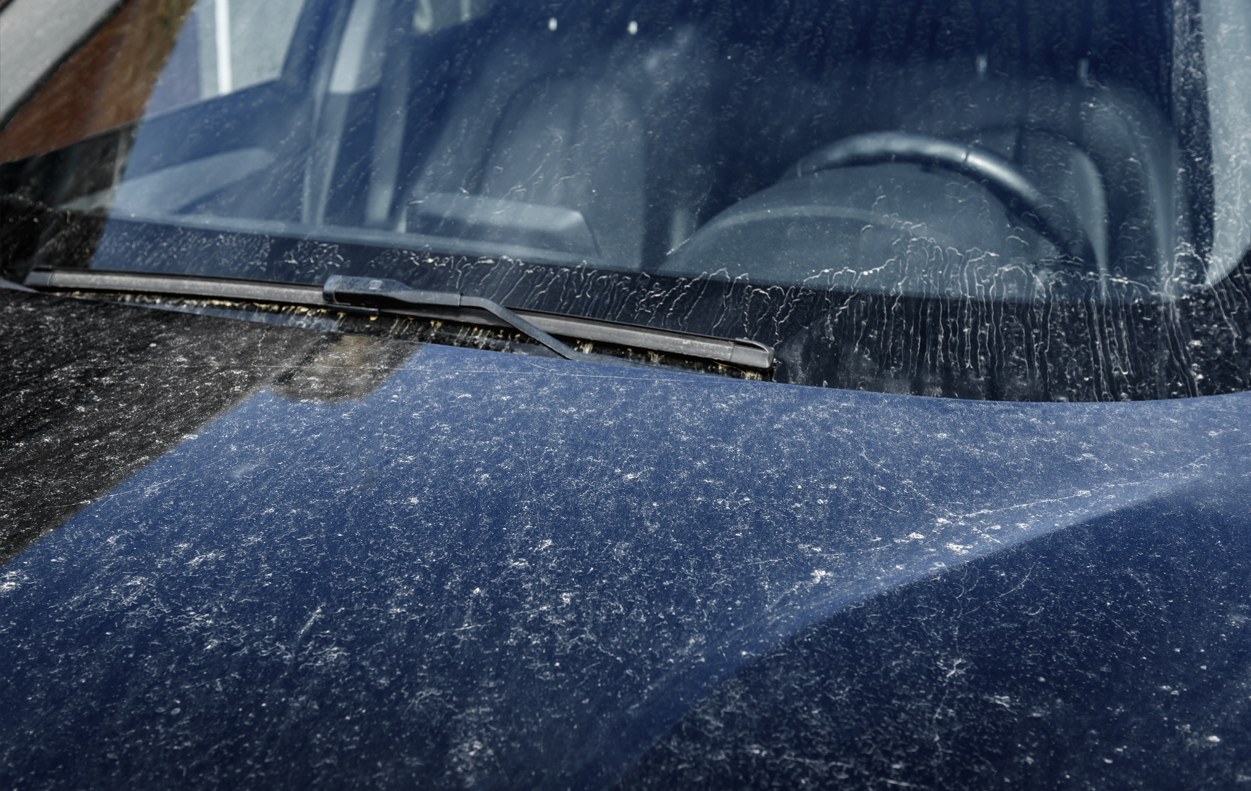 Eine Person reinigt die Windschutzscheibe eines schmutzigen Autos.