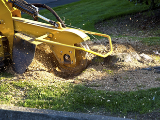 Stump Grinding — Ottumwa, Iowa — Parker Tree Service