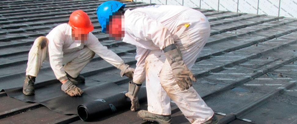 Techeros Monzon - SHINGLES