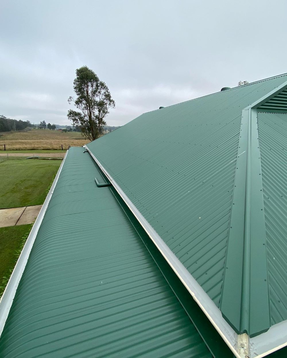 A Green Roof With a Tree in the Background — Lake Valley Roofing in Fennell Bay, NSW