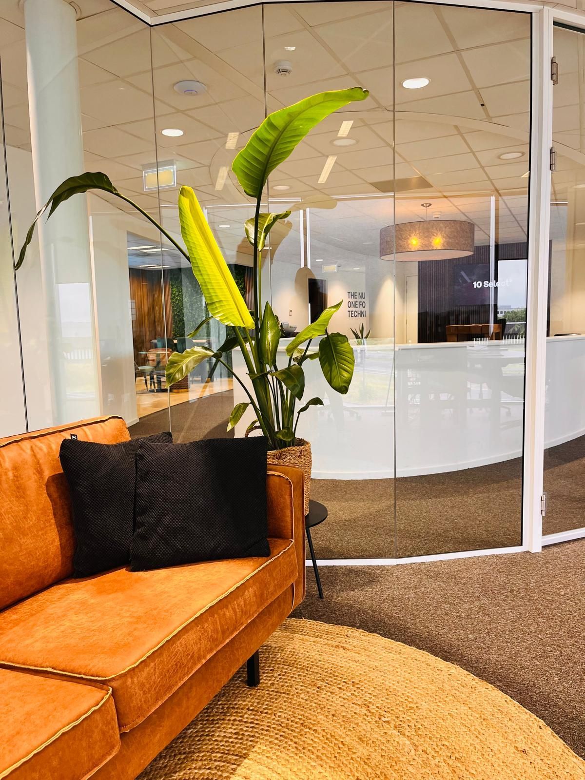 Orange couch with black pillow, potted plant, and office space behind glass wall.