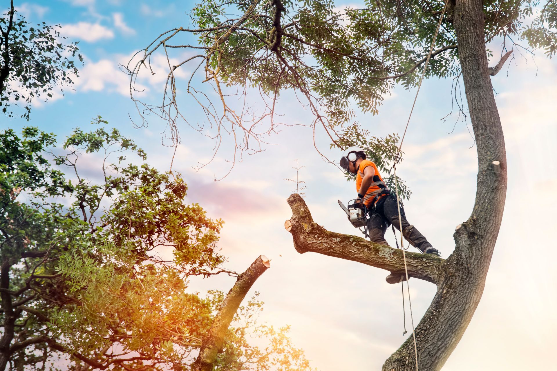Arborist trimming tree branches, wearing safety gear, with a chainsaw, set against a cloudy sky.