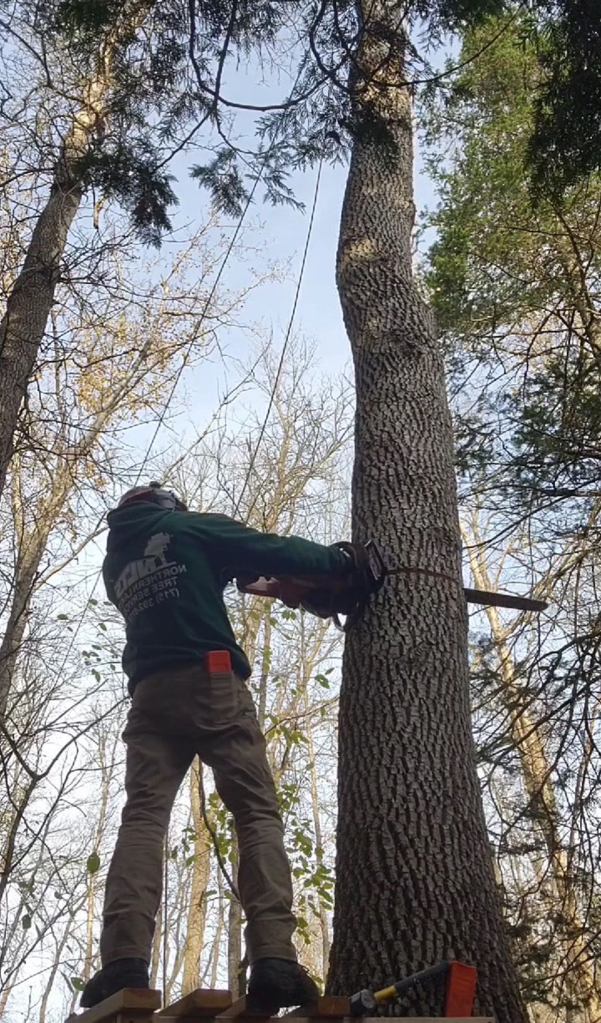 Person using chainsaw to cut down a tree trunk, sawdust flying.