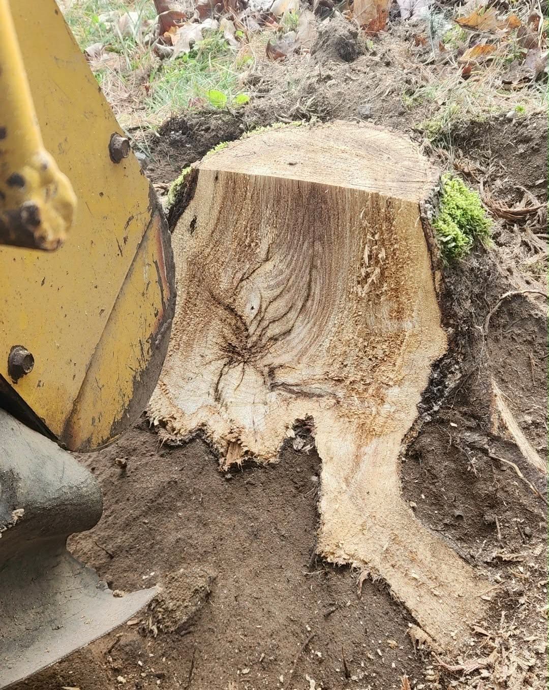 Garbage truck collecting green debris; worker in yellow rain gear.