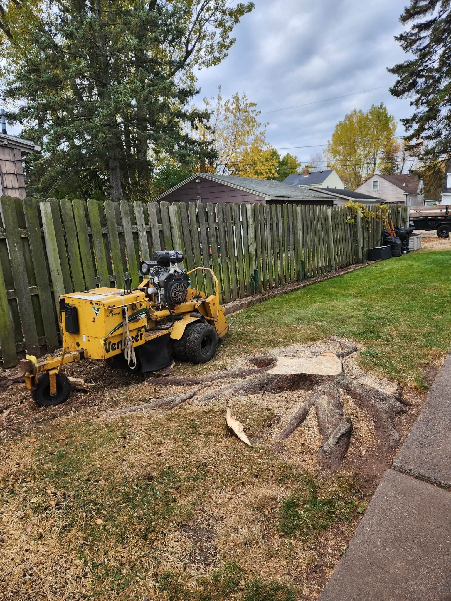 Tree removal: A worker in a lift basket prunes a tree; debris is loaded into a yellow truck.