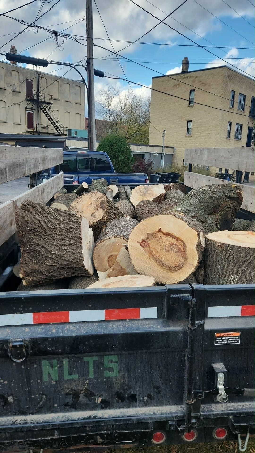 Worker in orange safety gear pruning a tree from an orange lift platform, blue sky background.