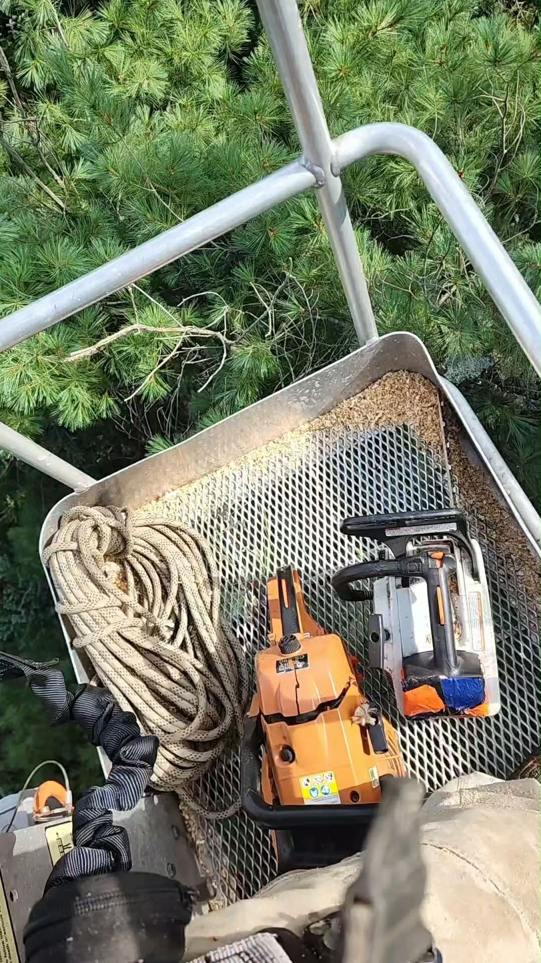 Lumberjack in a forest holds a chainsaw and helmet.